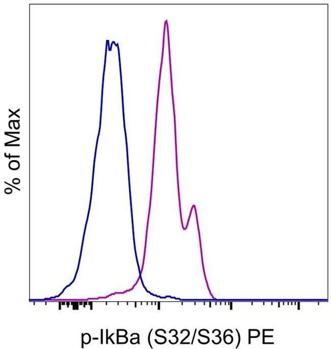 Phospho-IkB alpha (Ser32, Ser36) Antibody in Flow Cytometry (Flow)