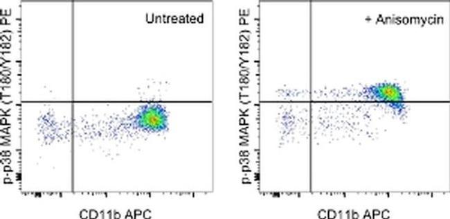 Phospho-p38 MAPK (Thr180, Tyr182) Antibody in Flow Cytometry (Flow)