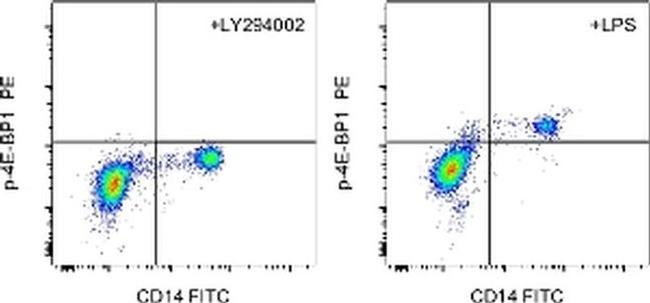 Phospho-4EBP1 (Thr36, Thr45) Antibody in Flow Cytometry (Flow)