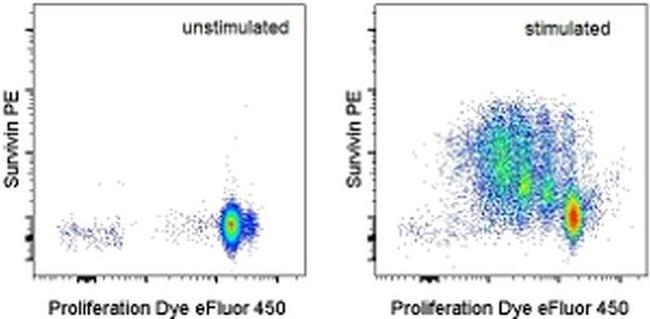 Survivin Antibody in Flow Cytometry (Flow)