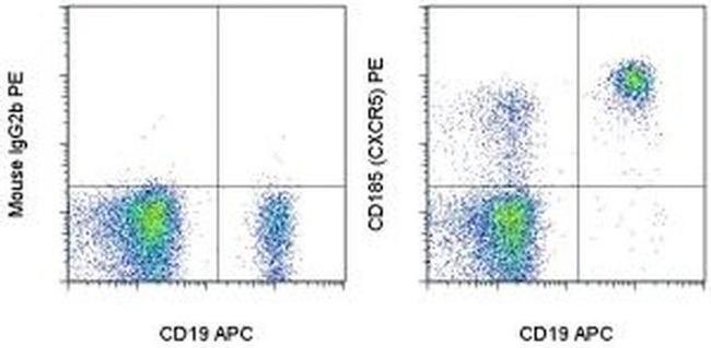 CD185 (CXCR5) Antibody in Flow Cytometry (Flow)