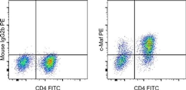 c-MAF Antibody in Flow Cytometry (Flow)