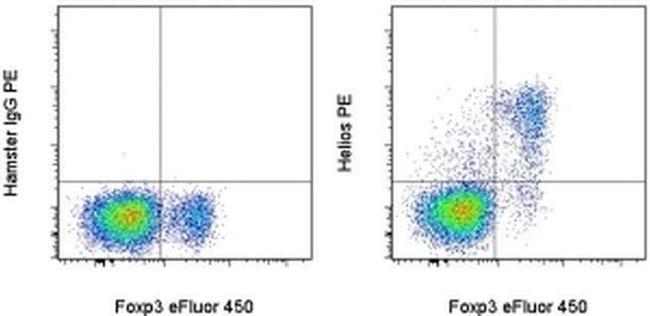 HELIOS Antibody in Flow Cytometry (Flow)