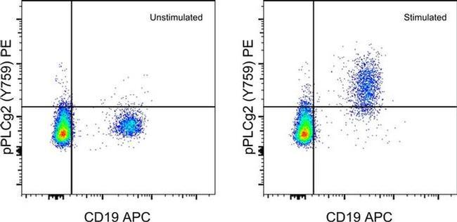 Phospho-PLCG2 (Tyr759) Antibody in Flow Cytometry (Flow)