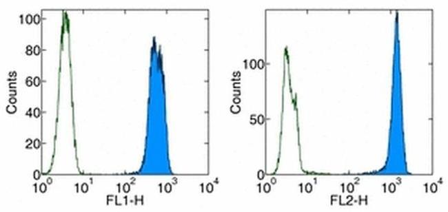 PCNA Antibody in Flow Cytometry (Flow)