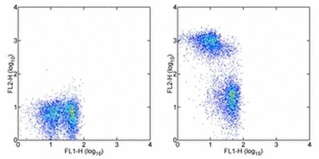 CD3 Antibody in Flow Cytometry (Flow)