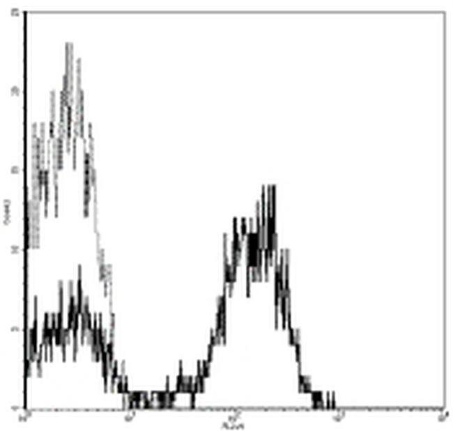 CD28 Antibody in Flow Cytometry (Flow)