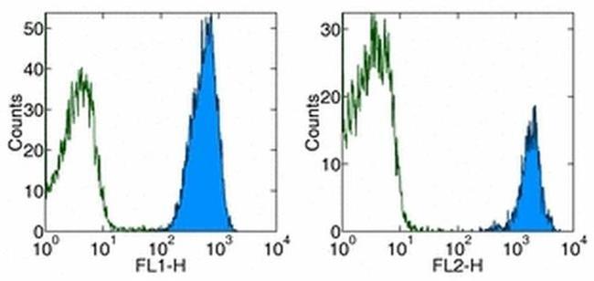 CD45 Antibody in Flow Cytometry (Flow)