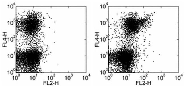 CD133 (Prominin-1) Antibody in Flow Cytometry (Flow)