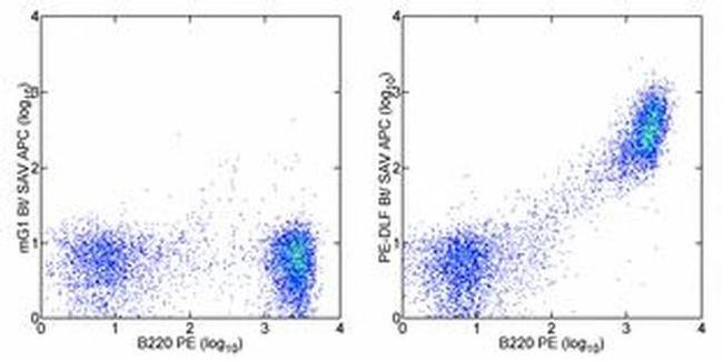 Phycoerythrin Antibody in Flow Cytometry (Flow)