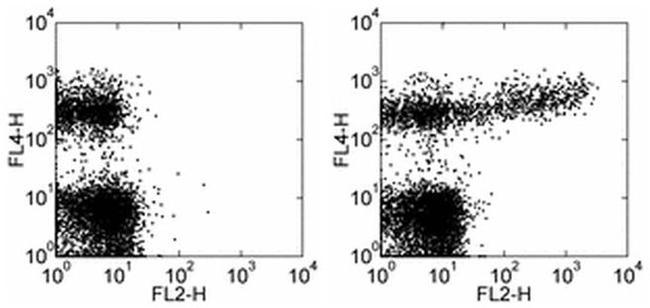 IgM Antibody in Flow Cytometry (Flow)