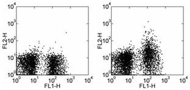 CD249 (BP-1) Antibody in Flow Cytometry (Flow)