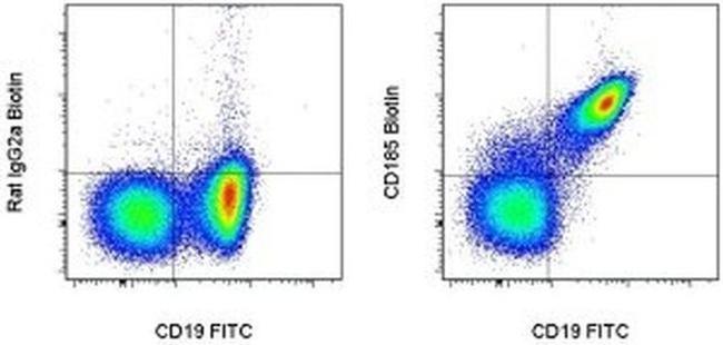 CD185 (CXCR5) Antibody in Flow Cytometry (Flow)