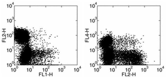 IFN gamma Antibody in Flow Cytometry (Flow)