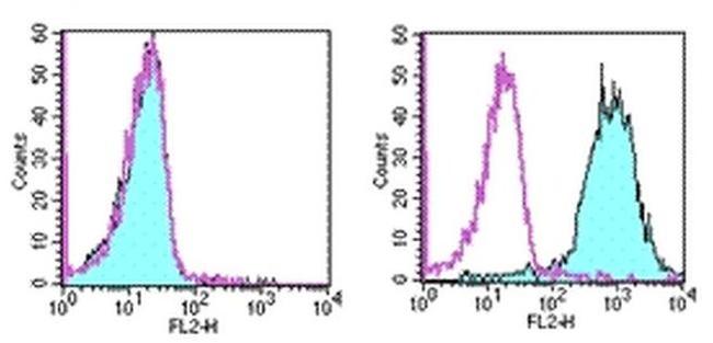 CD266 (TWEAK Receptor) Antibody in Flow Cytometry (Flow)