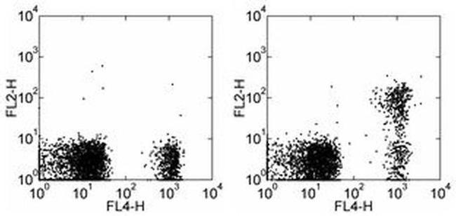 CD267 (TACI) Antibody in Flow Cytometry (Flow)