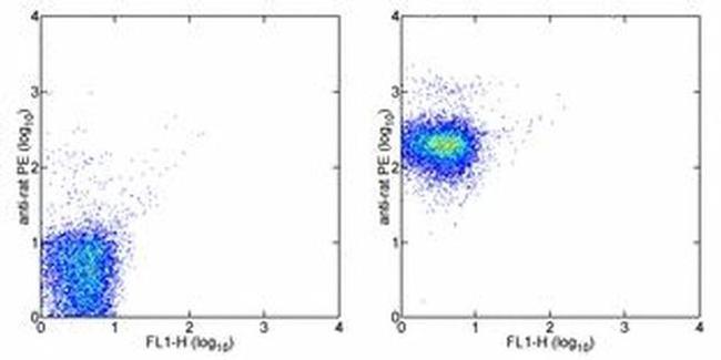 CD47 Antibody in Flow Cytometry (Flow)