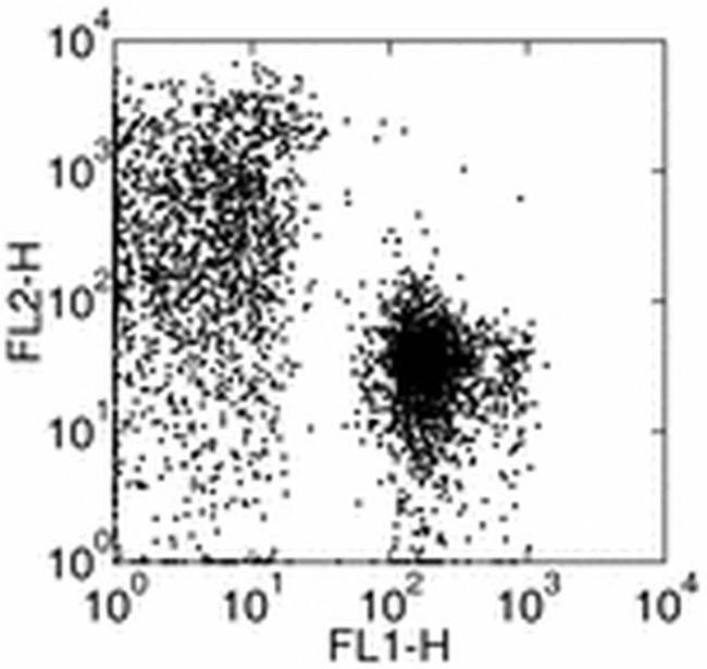 CD71 (Transferrin Receptor) Antibody in Flow Cytometry (Flow)