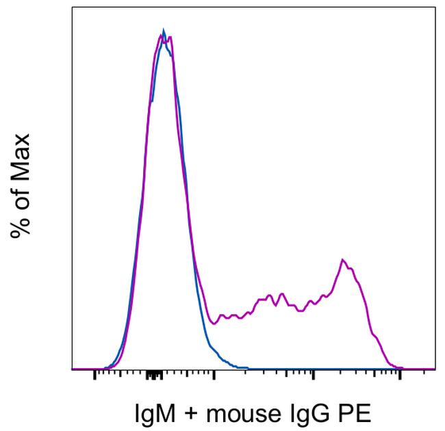 IgM Antibody in Flow Cytometry (Flow)