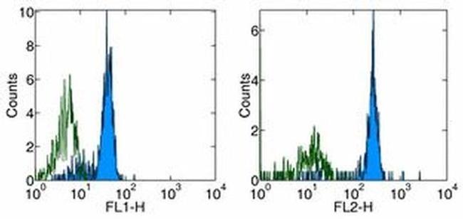 CD116 Antibody in Flow Cytometry (Flow)