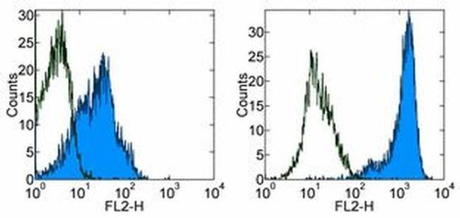 CD205 Antibody in Flow Cytometry (Flow)