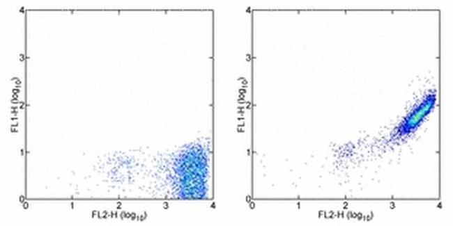 Phycoerythrin Antibody in Flow Cytometry (Flow)