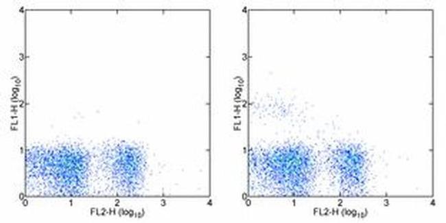 NK1.1 Antibody in Flow Cytometry (Flow)