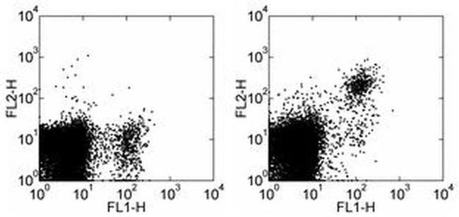 CD49b (Integrin alpha 2) Antibody in Flow Cytometry (Flow)