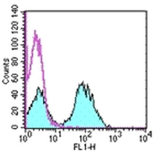 MHC Class II (I-Ek) Antibody in Flow Cytometry (Flow)