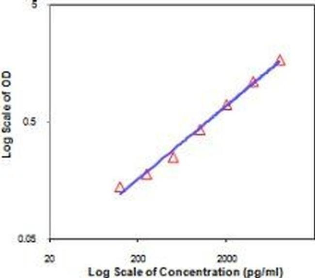 IL-19 Antibody in ELISA (ELISA)