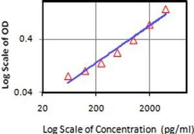 IL-21 Antibody in ELISA (ELISA)