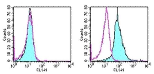 CD266 (TWEAK Receptor) Antibody in Flow Cytometry (Flow)