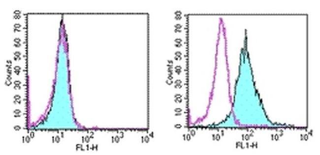 CD266 (TWEAK Receptor) Antibody in Flow Cytometry (Flow)