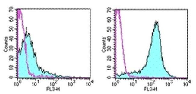 CD69 Antibody in Flow Cytometry (Flow)