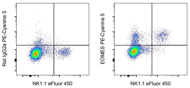 EOMES Antibody in Flow Cytometry (Flow)