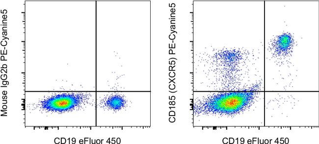 CD185 (CXCR5) Antibody in Flow Cytometry (Flow)