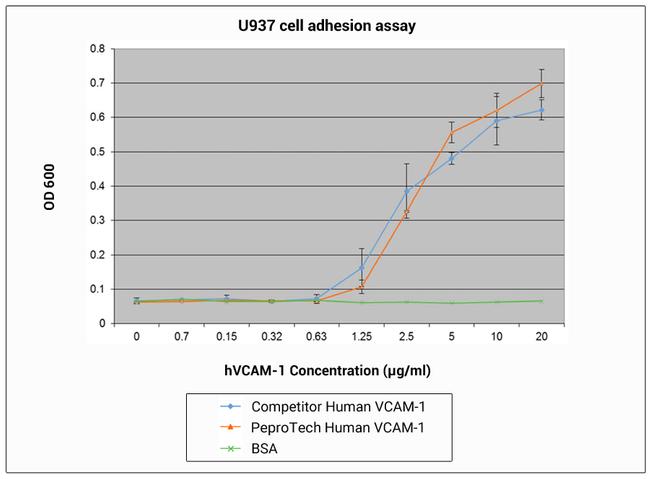 Human VCAM-1 Protein in Functional Assay (Functional)