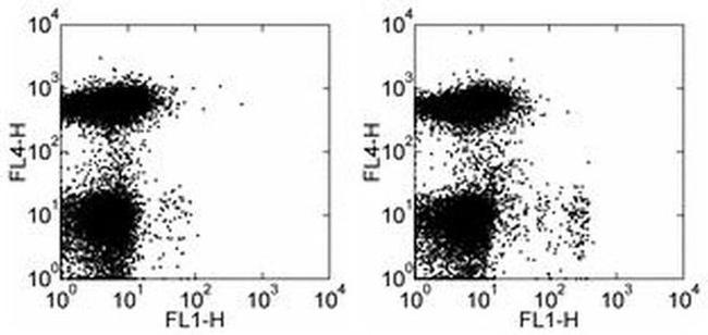 CD11c Antibody in Flow Cytometry (Flow)