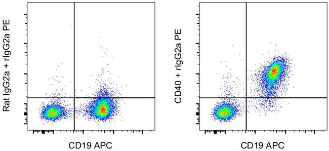 CD40 Antibody in Flow Cytometry (Flow)