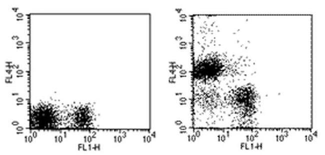 CD19 Antibody in Flow Cytometry (Flow)