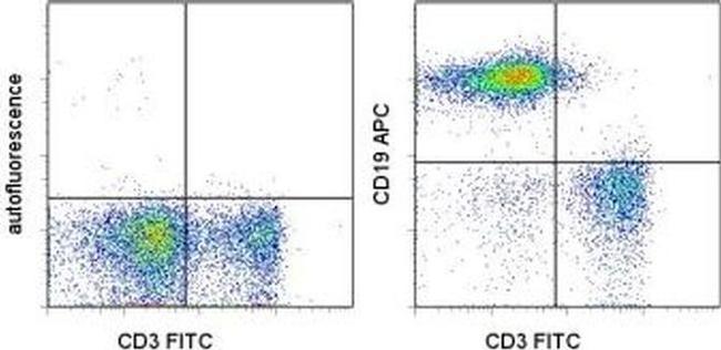 CD19 Antibody in Flow Cytometry (Flow)