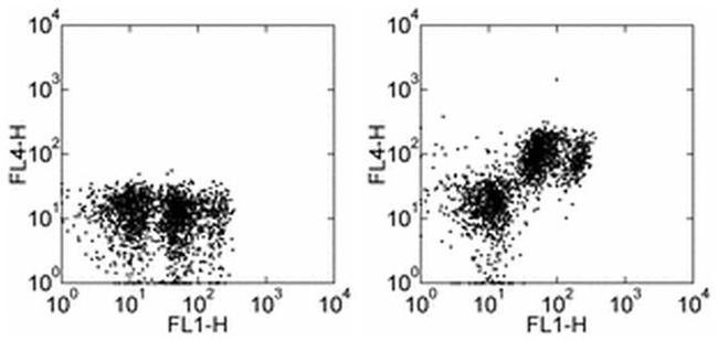 CD31 (PECAM-1) Antibody in Flow Cytometry (Flow)