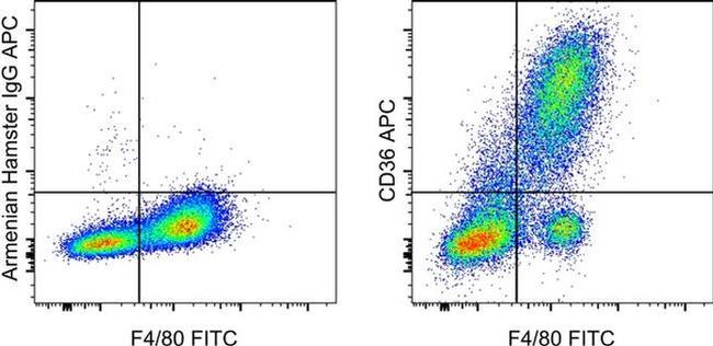 CD36 Antibody in Flow Cytometry (Flow)