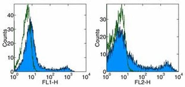 CD90.1 (Thy-1.1) Antibody in Flow Cytometry (Flow)