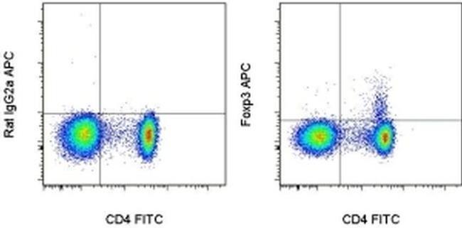 FOXP3 Antibody in Flow Cytometry (Flow)