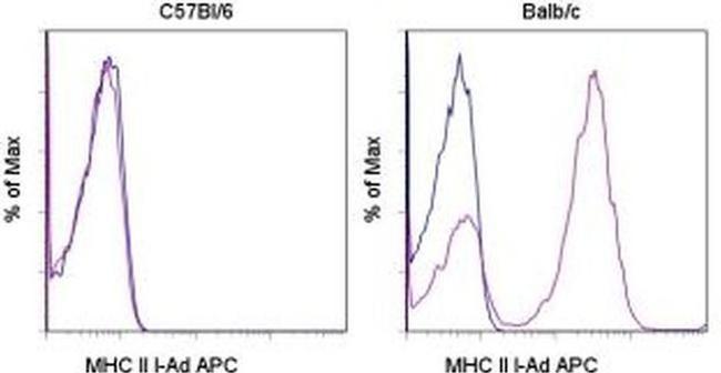 MHC Class II I-Ad Antibody in Flow Cytometry (Flow)