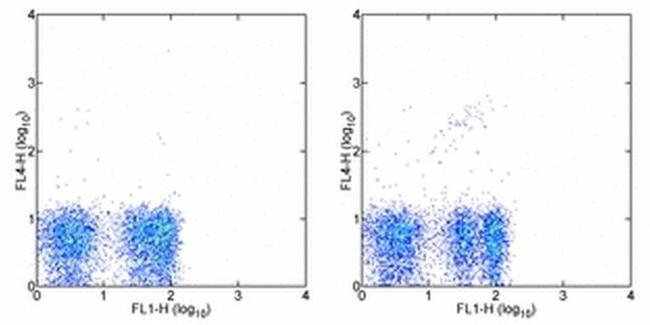 TCR gamma/delta Antibody in Flow Cytometry (Flow)