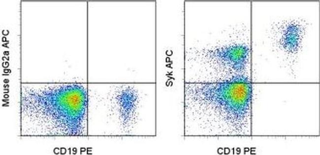 Syk Antibody in Flow Cytometry (Flow)