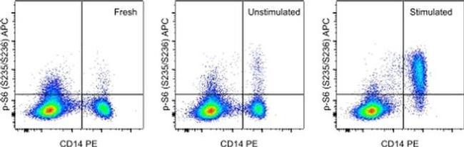 Phospho-S6 (Ser235, Ser236) Antibody in Flow Cytometry (Flow)