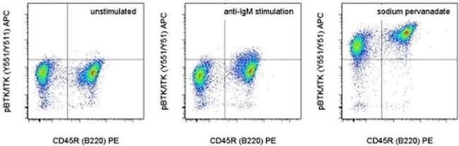 Phospho-BTK/ITK (Tyr551, Tyr511) Antibody in Flow Cytometry (Flow)